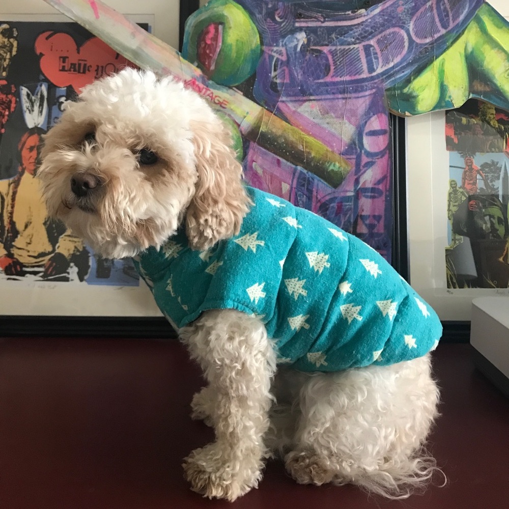 Retro Evergreen DOG Puffer Vest- Reversible!